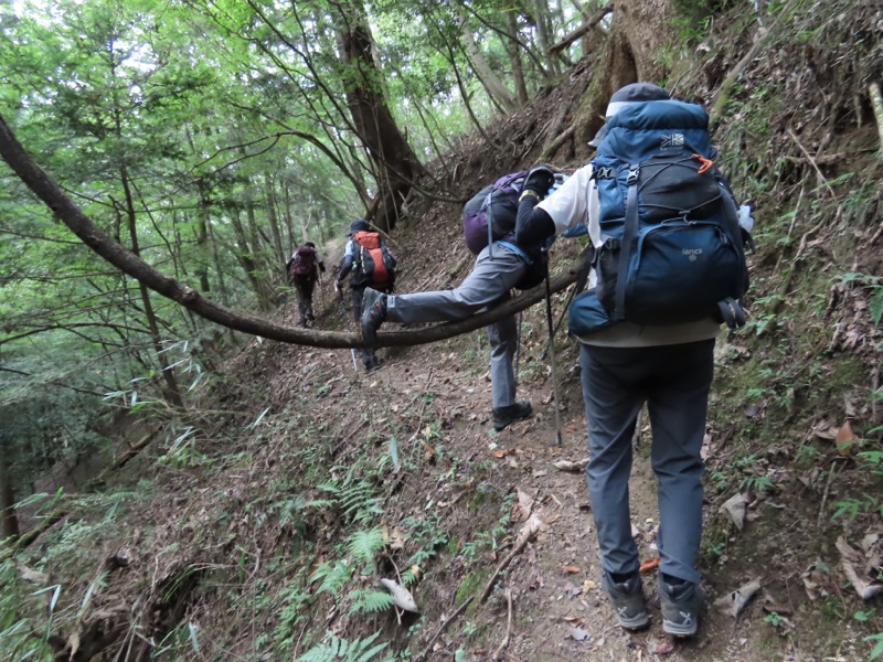 高柄山