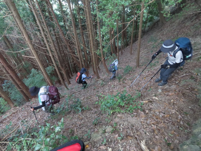 高柄山