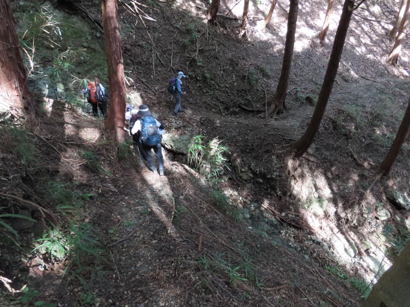 高柄山