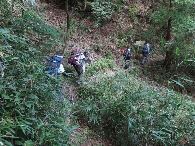 高柄山