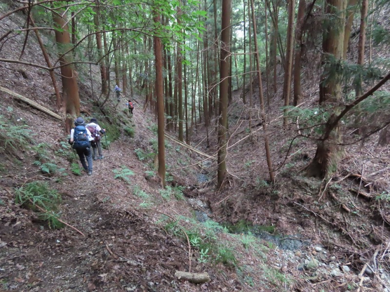 高柄山