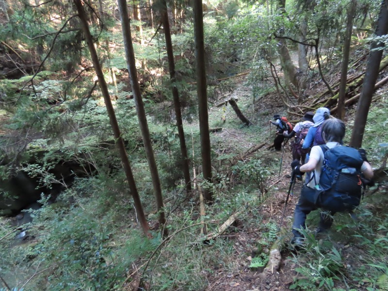 高柄山