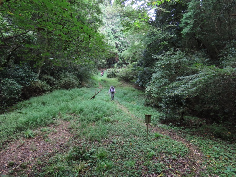 網代城山