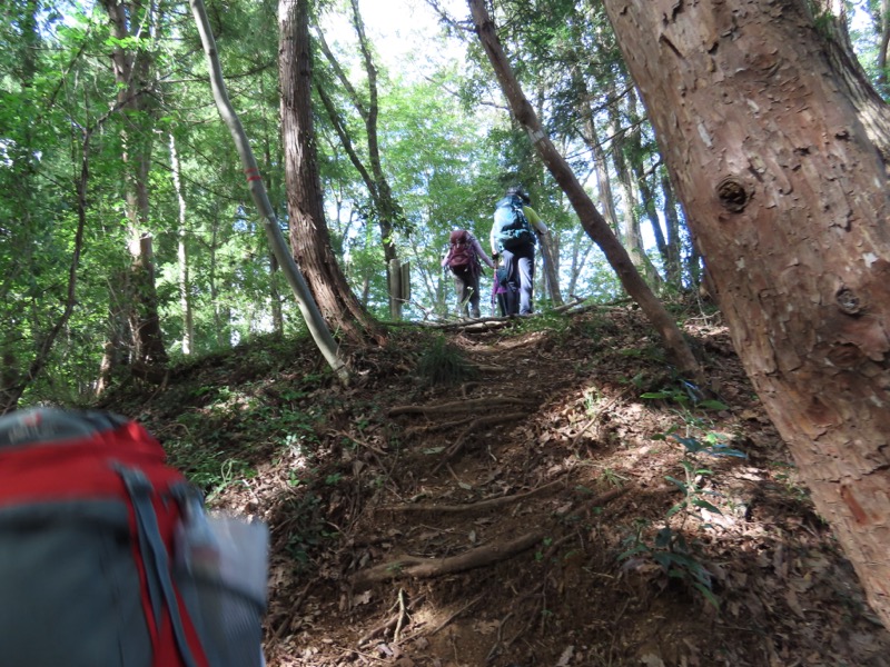 網代城山