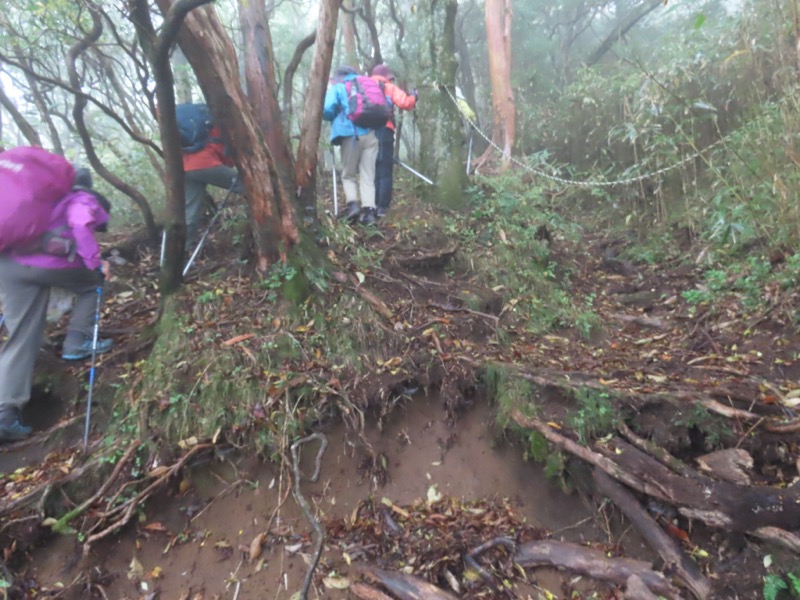 箱根・駒ヶ岳