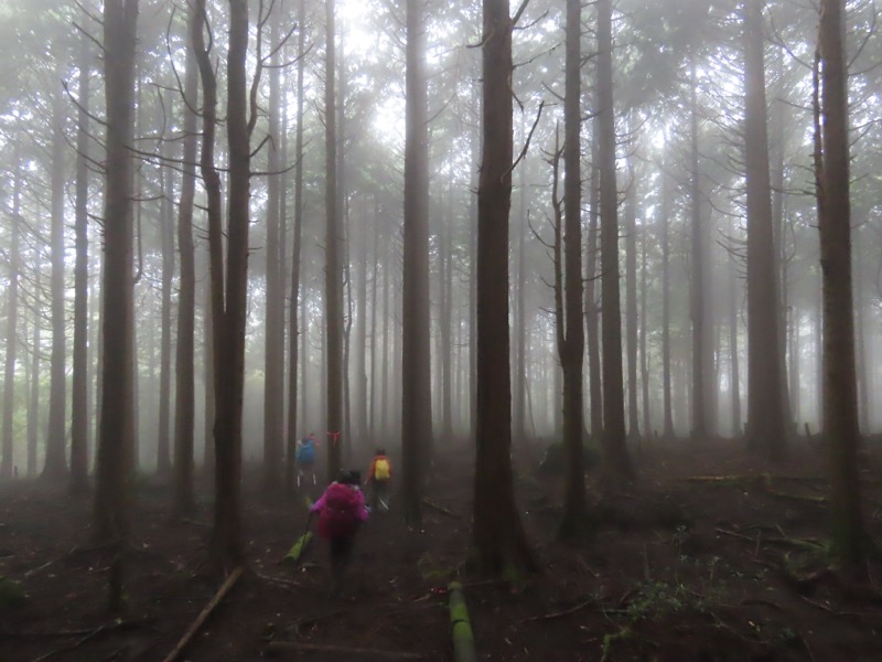 箱根・駒ヶ岳