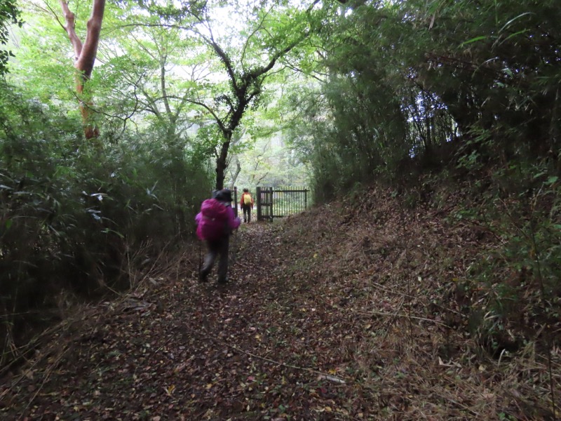 箱根・駒ヶ岳