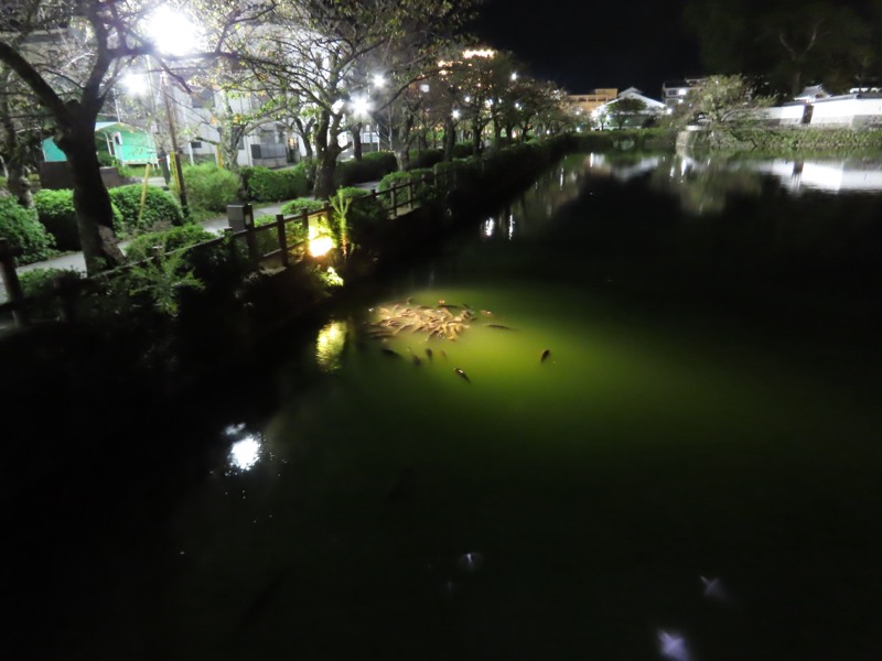 箱根・駒ヶ岳