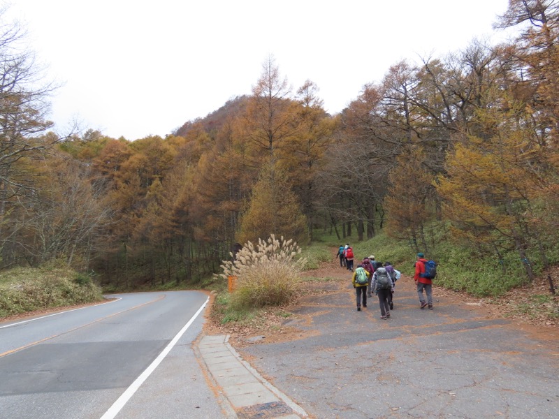 高山、奥日光