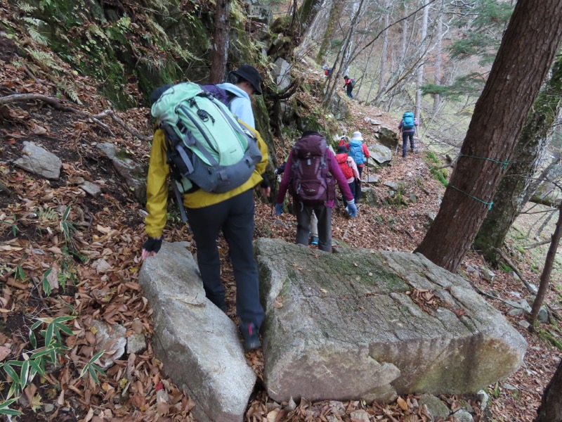 高山、奥日光