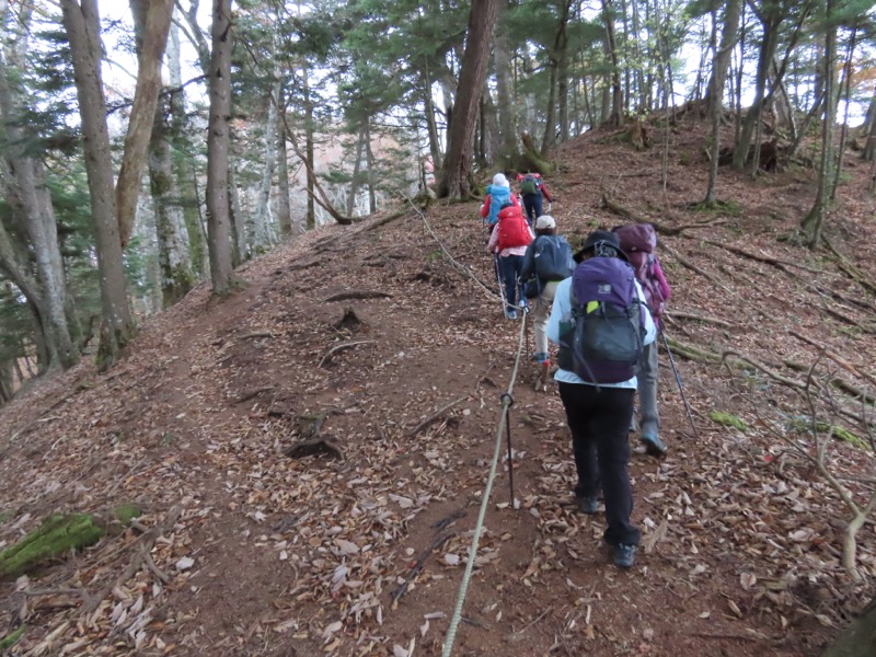 高山、奥日光