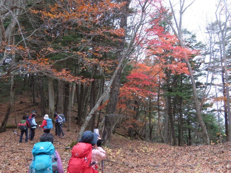 高山、奥日光