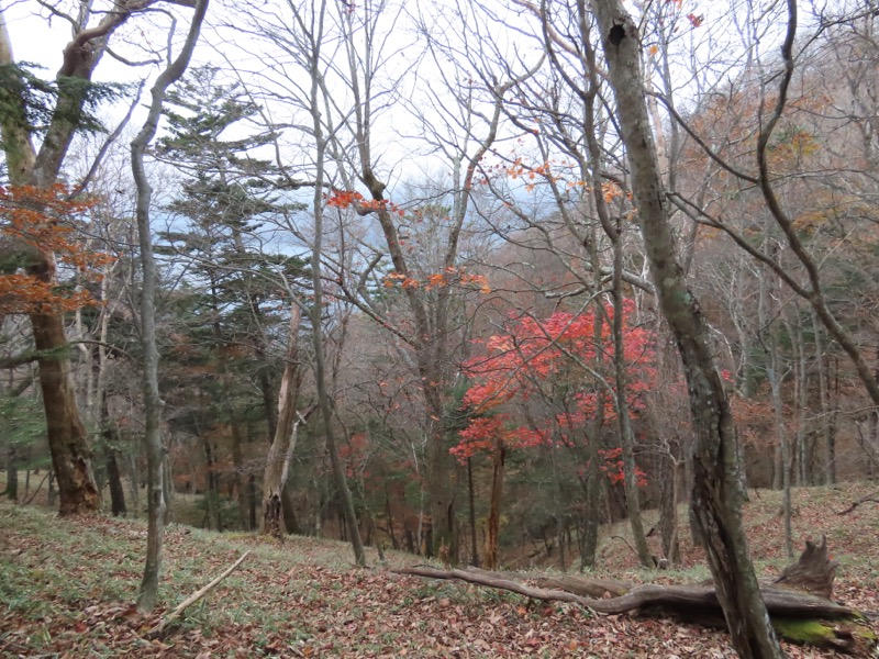 高山、奥日光