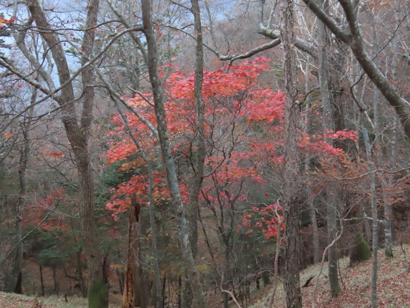 高山、奥日光