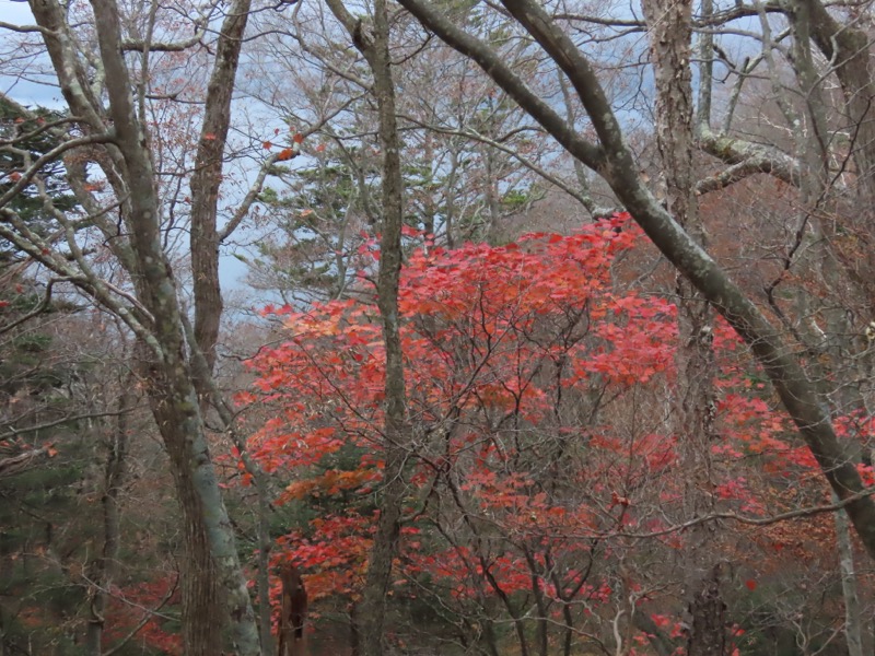 高山、奥日光