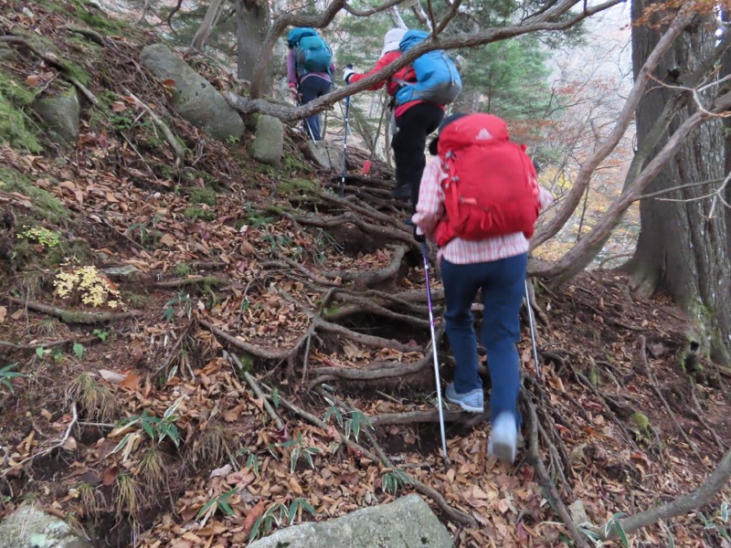 高山、奥日光