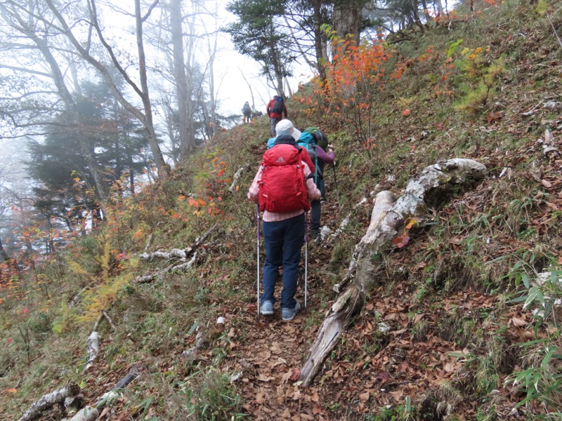 高山、奥日光