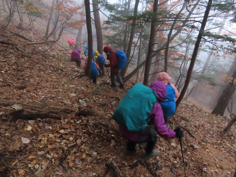 高山、奥日光