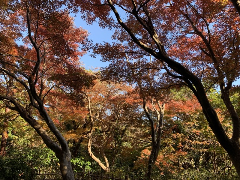 糸の会　鎌倉