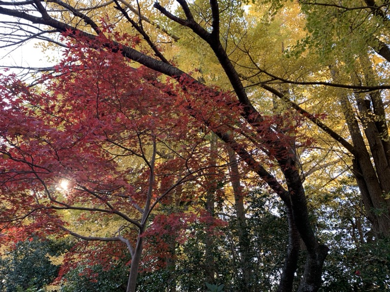 糸の会　鎌倉