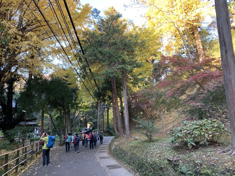 糸の会　鎌倉