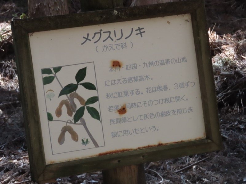 〓