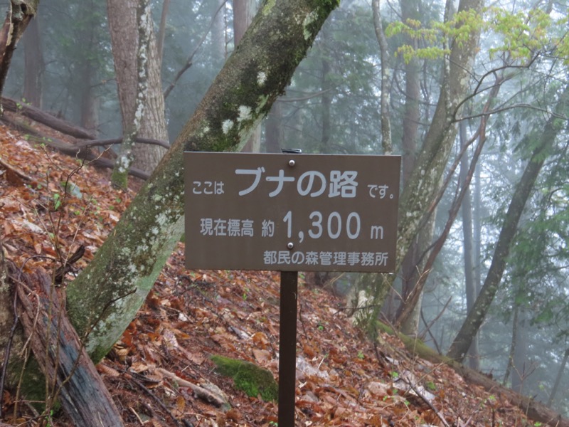 〓