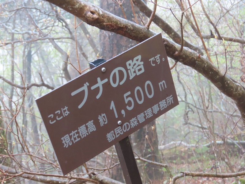 〓