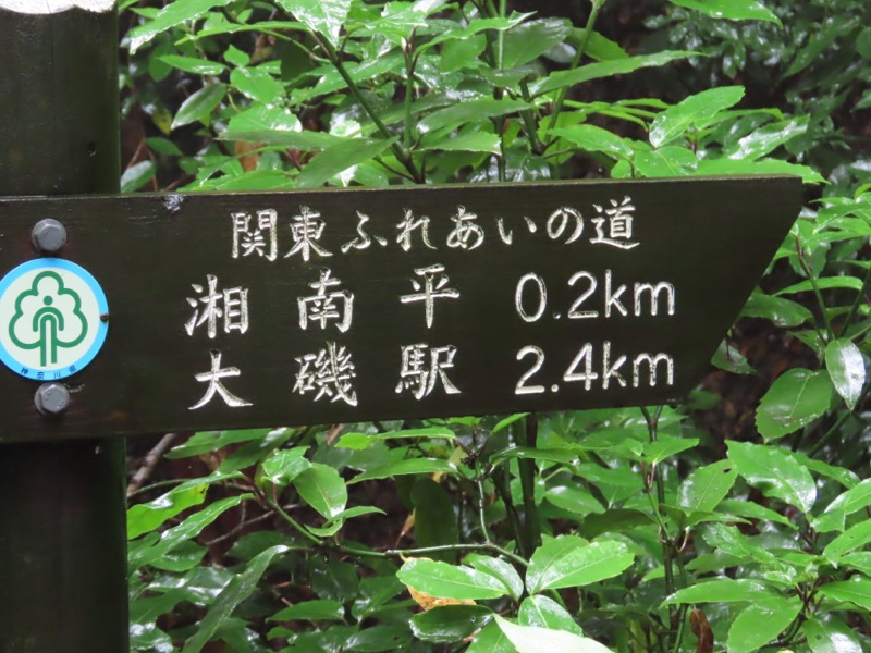 〓