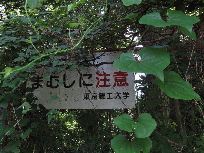 〓