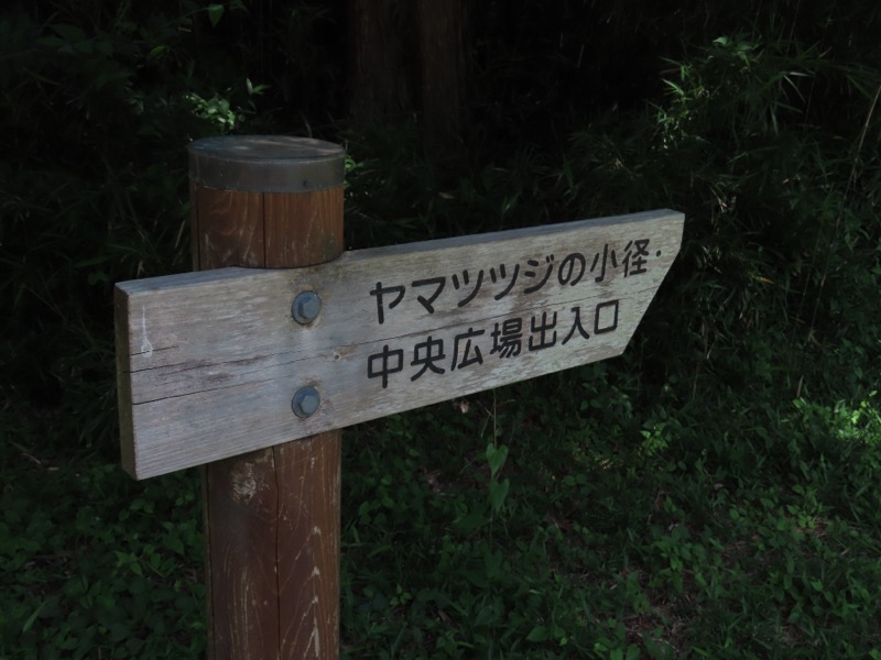 〓
