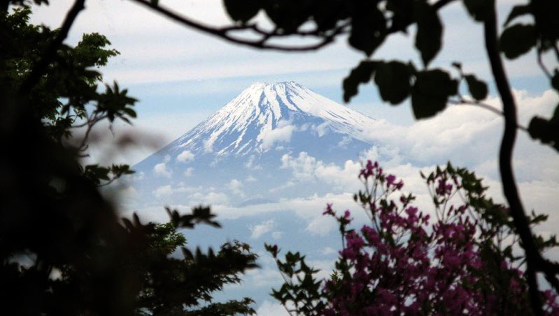 「天城山」の富士山