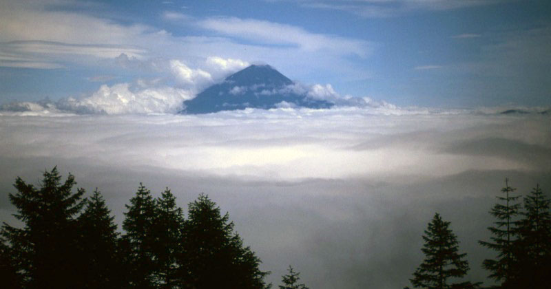 「甘利山」の富士山