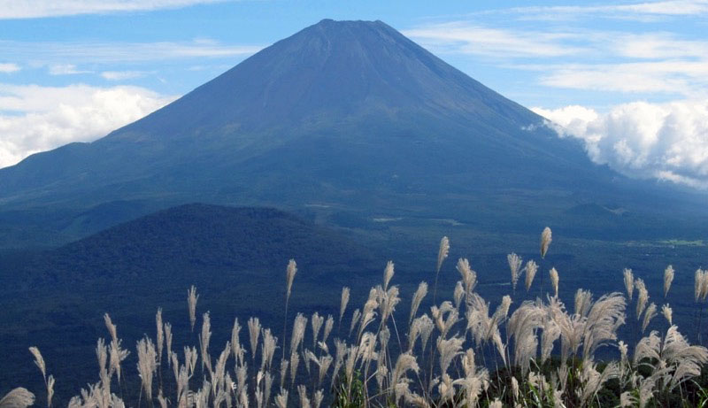 「パノラマ台」の富士山
