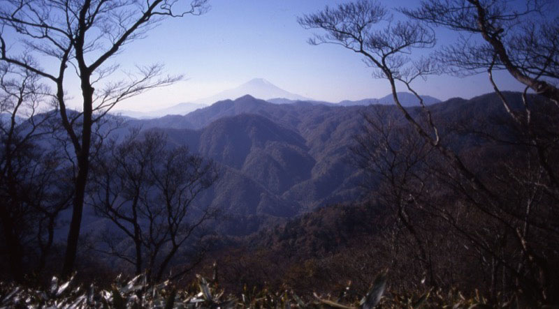 「大室山」の富士山