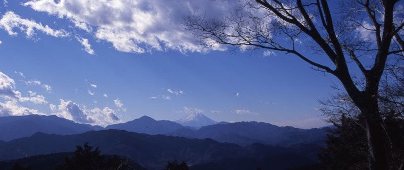 「高尾山」の富士山
